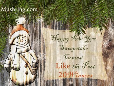 “Happy New Year” Sweepstake Contest