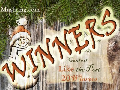 “Happy New Year” Sweepstake Contest – Winners List